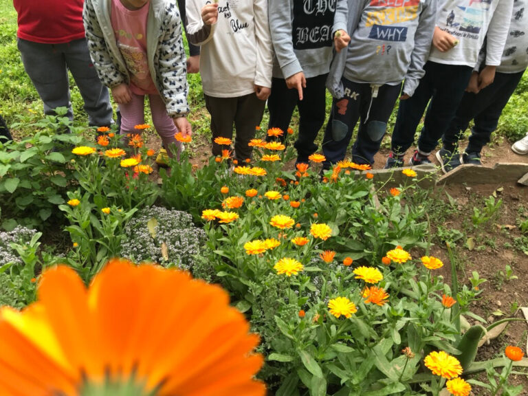 Οι σχολικοί κήποι της Αειφορίας