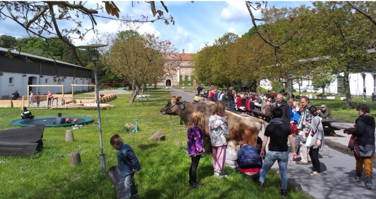 Γνωριμία με το Σβάνχολμ: Ένα κοινόβιο αυτάρκειας και αρμονικής συνύπαρξης μέσα στη φύση