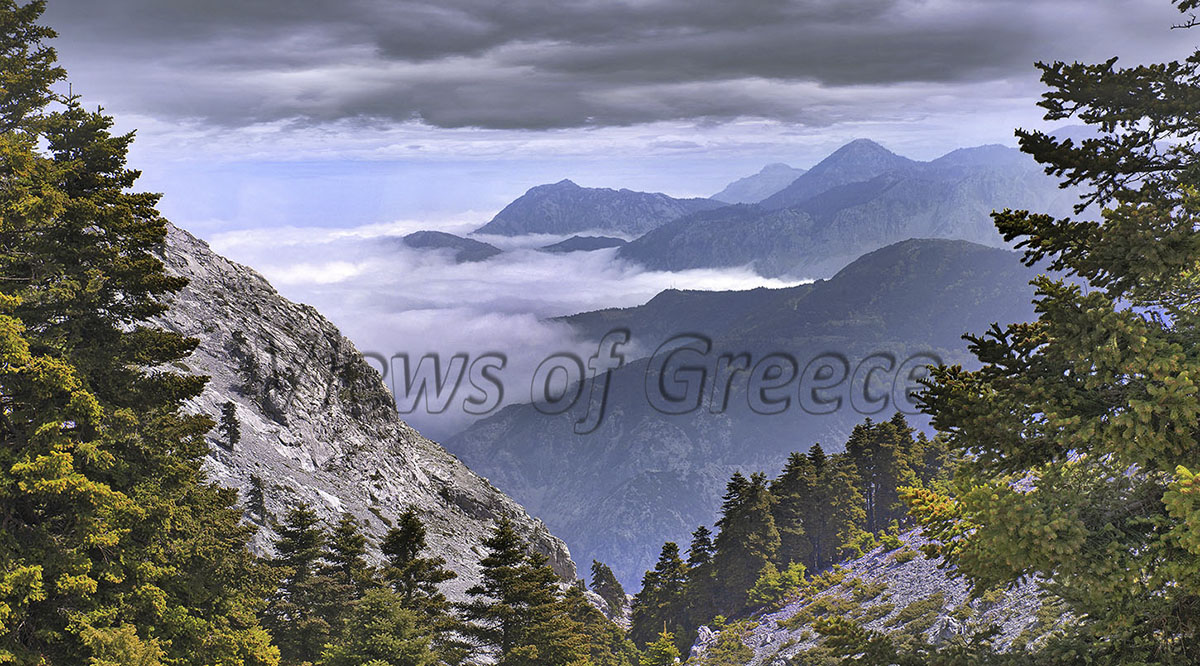 Δίρφη: Συναρπαστική, μονοήμερη εκδρομή στο ψηλότερο βουνό της Εύβοιας