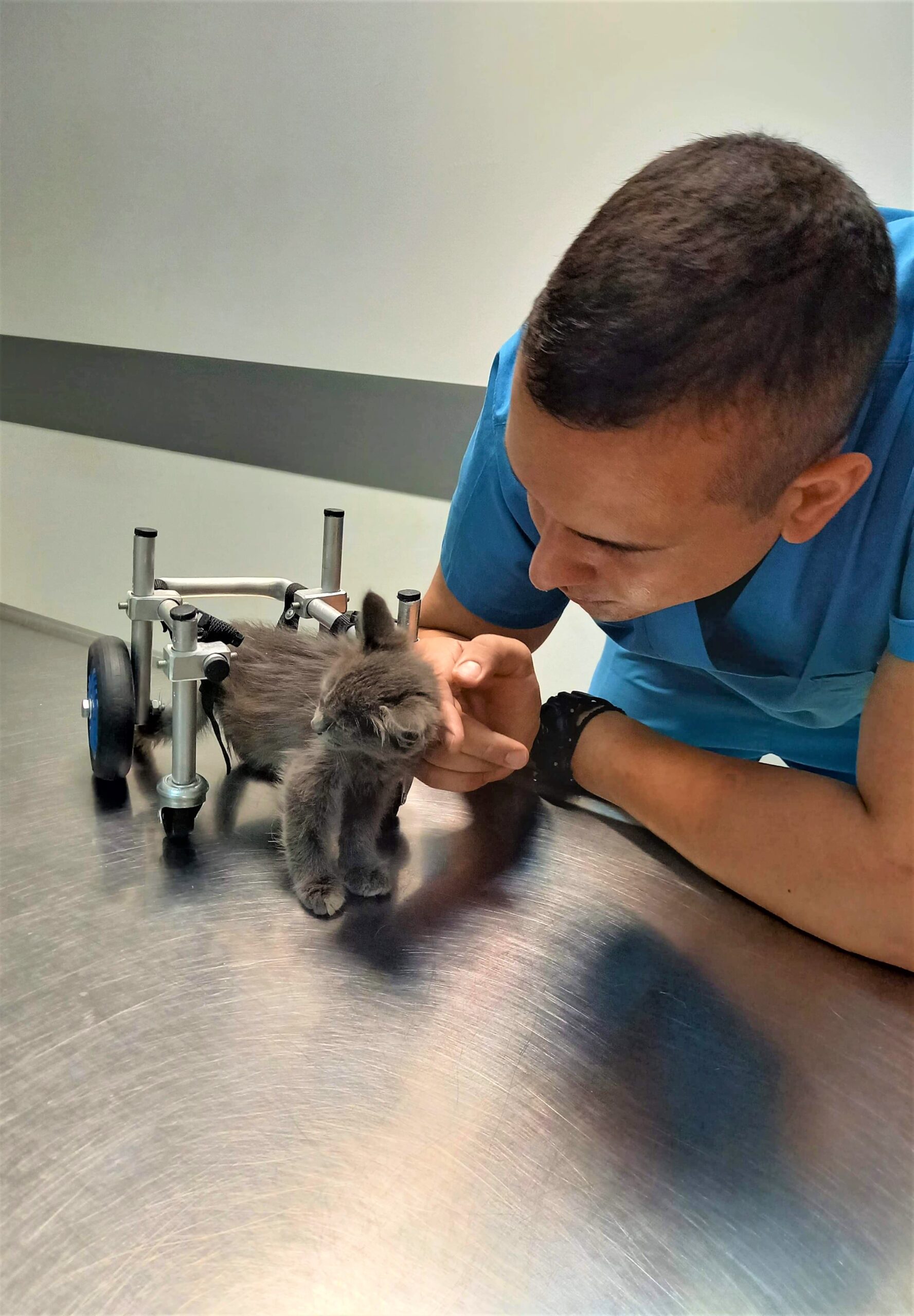 Pet Mobility: Η βραβευμένη ομάδα που χαρίζει ξανά κίνηση και αξιοπρέπεια σε ανάπηρα ζώα